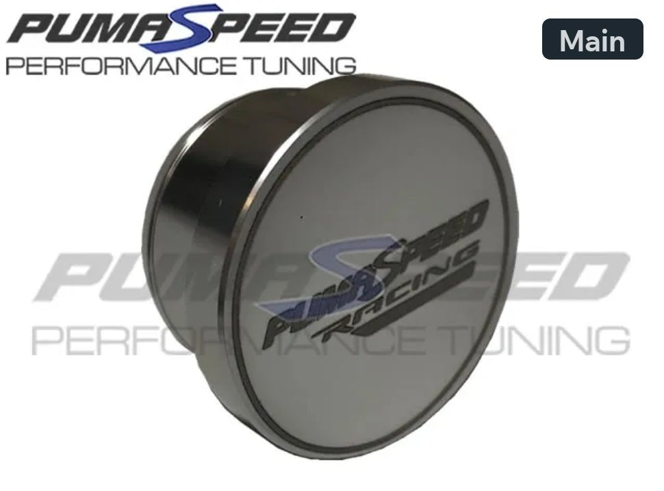 Pumaspeed Racing Fiesta ST180 Symposer Delete - Fiesta ST180 Mk7 - #from Airtec, Pumaspeed & Laird Performance#- CCS-Essex