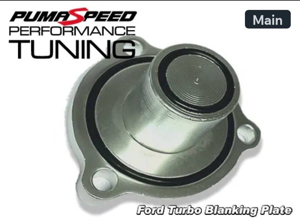 Pumaspeed Turbo Blanking Plate for Ford Focus Mk3 ST250 - Focus Mk3 ST (250PS) - #from Airtec, Pumaspeed & Laird Performance#- CCS-Essex